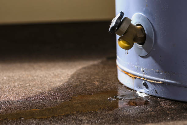 Best Water damage restoration process  in Hollymead, VA