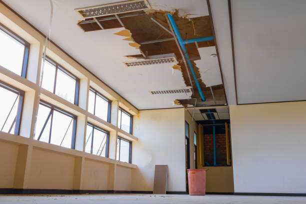 Best Basement water damage restoration  in Hollymead, VA