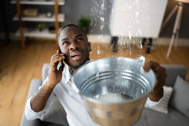 Best Water damage restoration mold remediation  in Hollymead, VA