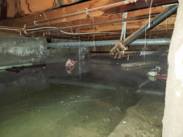 Best Residential water damage restoration  in Hollymead, VA