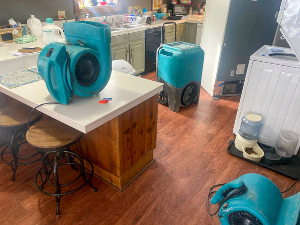 Best 24-hour water damage restoration  in Hollymead, VA