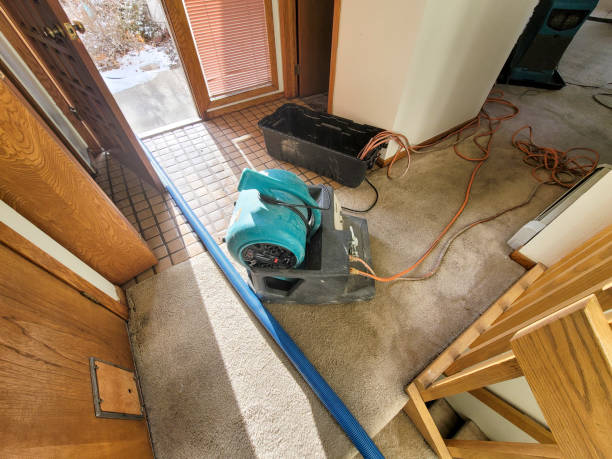 Best Water damage restoration specialists  in Hollymead, VA