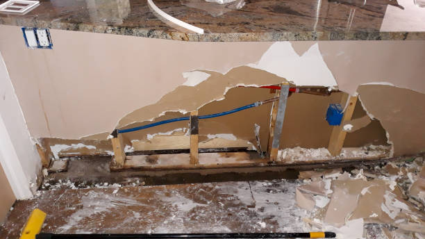 Best Flooded house restoration  in Hollymead, VA