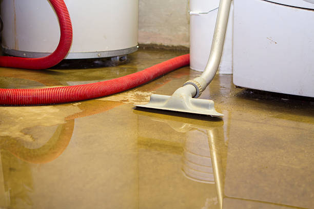 Best Water damage restoration services  in Hollymead, VA