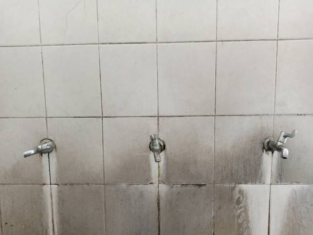 Best Sewage cleanup and water damage restoration  in Hollymead, VA